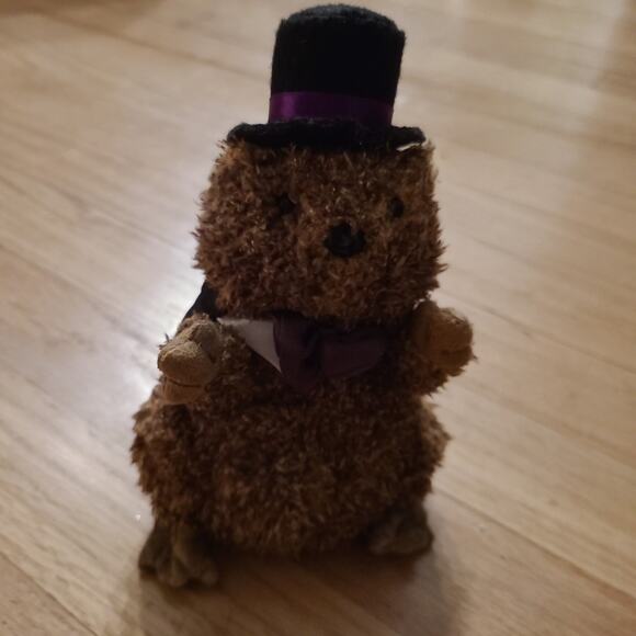 Punxsutawney Phil 2006 TY Beanie Baby Vintage Plush Stuffed Animal Groundhog Day - Picture 1 of 4